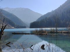 -九寨沟-树正沟