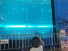 -乐从天佑城海洋馆