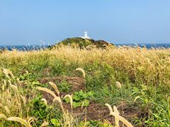 -涉地可支