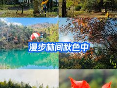 -四明山国家森林公园