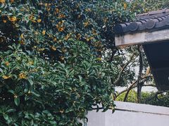 -无锡梅园公园