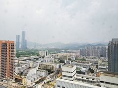 -华强广场酒店-椰香高空自助餐厅