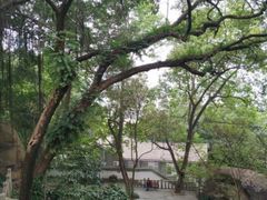 -乌山风景区