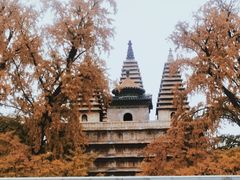 -北京石刻艺术博物馆(五塔寺)