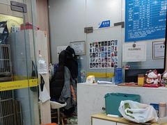 -米苏动物医院·犬猫专科·骨科外科内窥镜