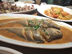 -船歌·鱼水饺青岛菜(金狮广场店)