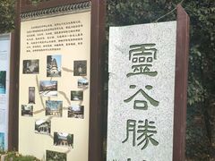 -灵谷景区