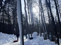 -洛阳白云山景区