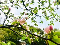 -虹迎轩·中餐厅(虹桥迎宾馆店)