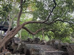 -西园戒幢律寺