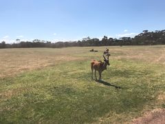 -威勒比开放式动物园