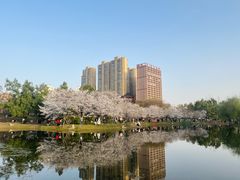 -堤角公园