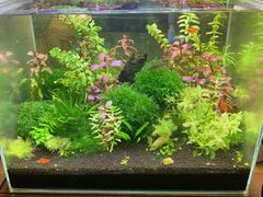 -Rabbit Cafe私房西餐甜点咖啡(栖霞路店)