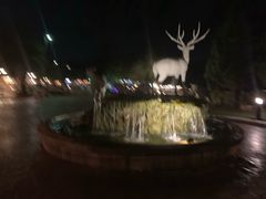 -清迈夜间动物园