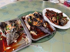 -双新垂钓园