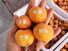 -东山风景区(洞庭东山)