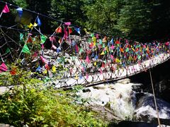 -青峰峡国家森林公园