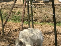 -嘉兴清池酒店温泉