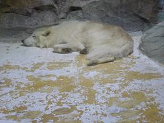 -海合安成都极地海洋公园