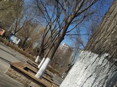 -西海子公园