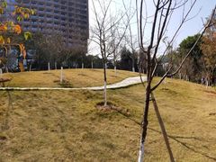 -元素自助餐厅·生蚝·海鲜·刺身(萝岗汇华希尔顿逸林酒店)