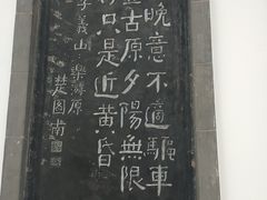 -西安乐游原