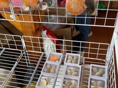 -蓝湾碧波·老字号·疍家非遗海上餐厅