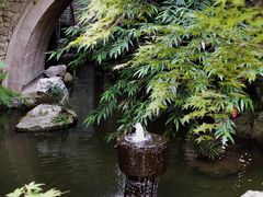 -鱼桥巷·美学川菜