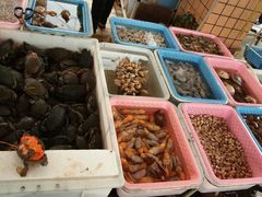 -南沙十九涌渔人码头-南门