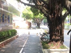 -四海公园(南山区)