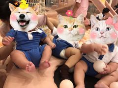 -BossBabe亲子餐厅(金光华广场店)