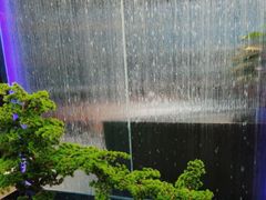 -湖畔鲁菜·二十年老字号餐厅(大明湖店)