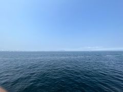 -不二心·鲜肉大包·海胆小笼汤包(二七广场店)