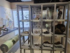 -安徽省地质博物馆