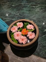 -琦品高端美容SPA私佳美场