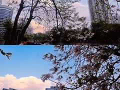 -红星桥(地铁站)
