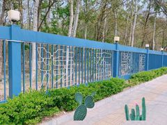 -枫花园汽车电影院(朝阳公园店)