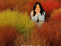 -映月湖中央公园