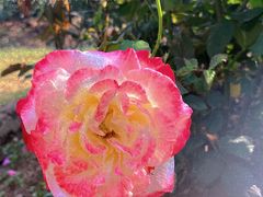 -人民公园(罗湖区)