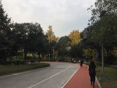 -龙头寺公园