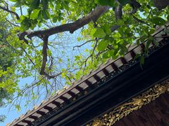 -佛山顺德香云纱园林酒店(清晖园店)