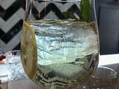 接骨木气泡酒-BOTTEGA意库(中骏世界城店)