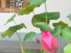 -龙华寺