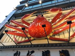 -蟹道乐(道顿堀本店)