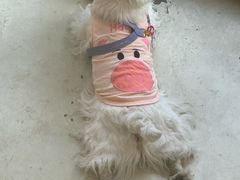 -小意思咖啡店(草桥店)