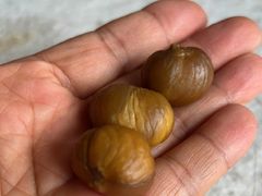 -秋栗香(地安门店)