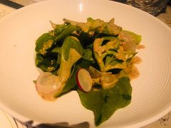 芝麻沙律冰草-T館·花园艺术餐厅