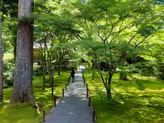-三千院