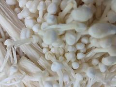 -周渝食惦·酸菜鱼精致川菜(横岗店)