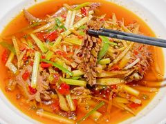 -新渝城·川菜·火锅(区庄店)